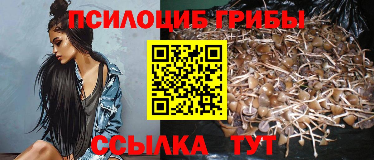 Сорочинск  Псилоцибиновые грибы ЛСД  Вход с VPN  Галлюциногенные грибы мицелий 